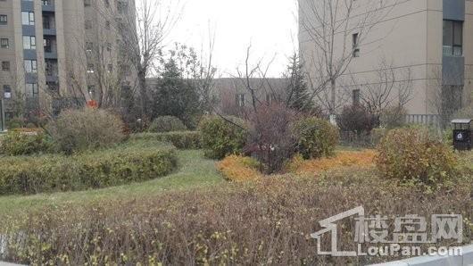 荣盛锦绣天地实景图