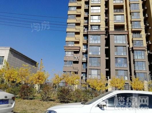 荣盛盛京绿洲实景图