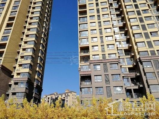荣盛盛京绿洲实景图