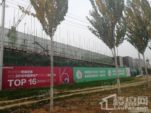 荣盛锦绣御景实景图