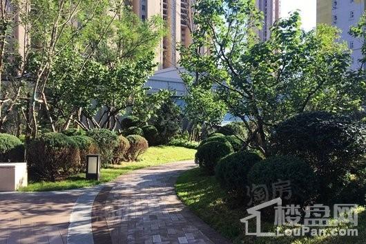 中海城实景图