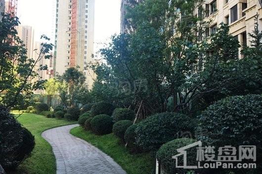 中海城实景图