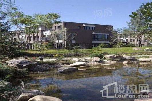 泰盈九如溪谷实景图