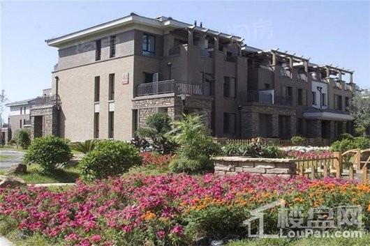 泰盈九如溪谷实景图