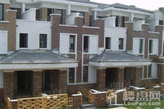 泰盈九如溪谷实景图