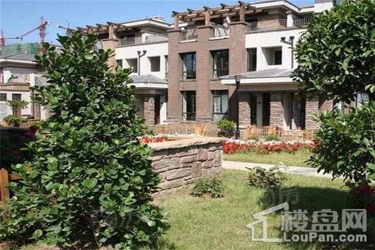 泰盈九如溪谷实景图