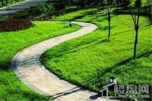 泰盈九如溪谷实景图