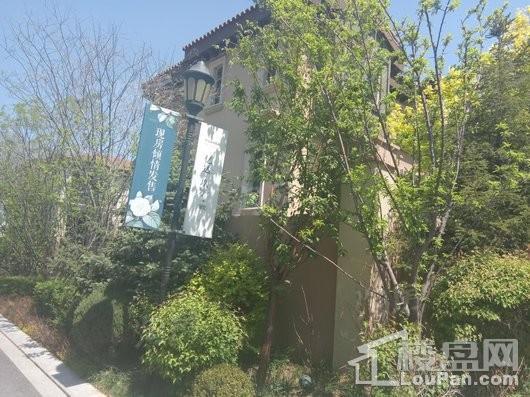 亿达玖墅实景图