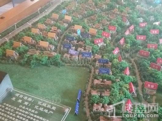 亿达玖墅实景图