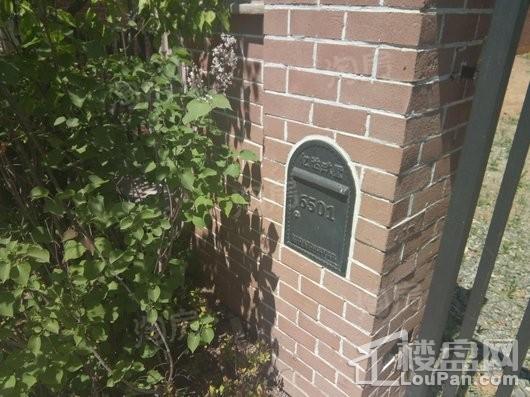 亿达玖墅实景图