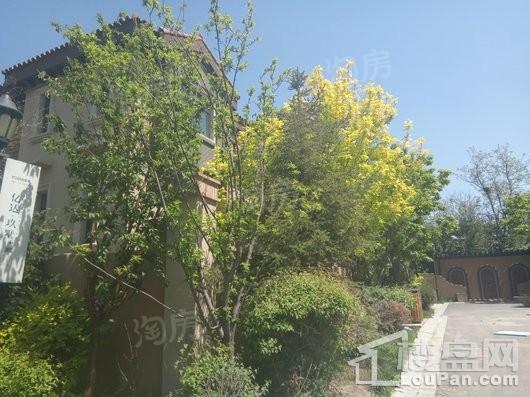 亿达玖墅实景图