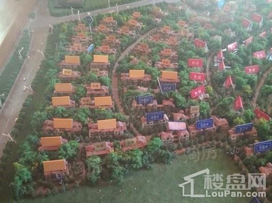 亿达玖墅实景图