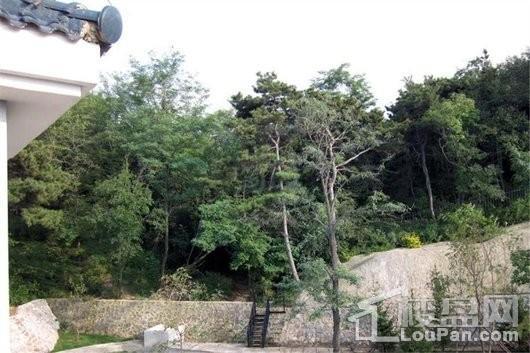 沈阳中体奥林匹克花园花园一号实景图