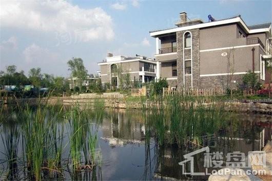 沈阳中体奥林匹克花园花园一号实景图