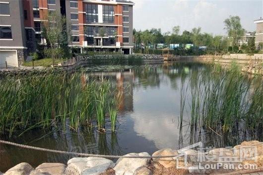 沈阳中体奥林匹克花园花园一号实景图