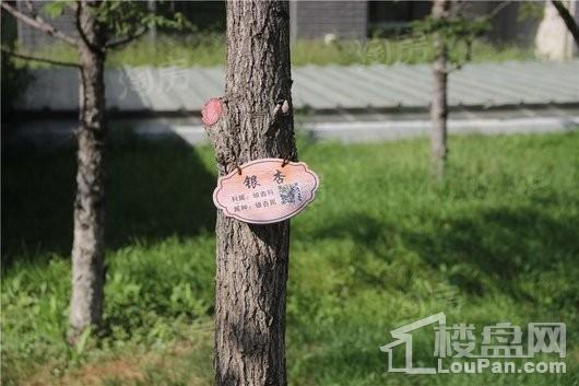 裕沁听月轩实景图