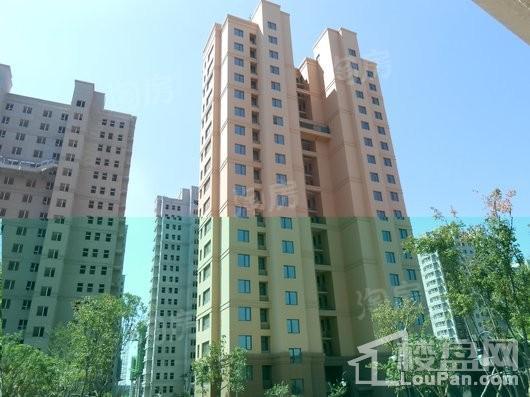 步阳江南壹号实景图