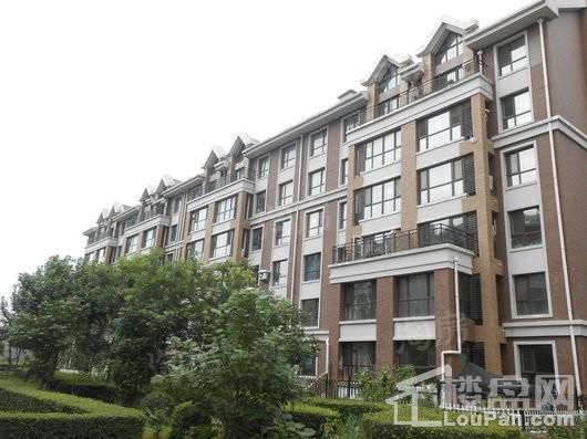 麓林春语 鸣悦实景图