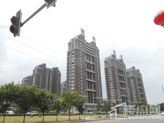 麓林春语 鸣悦实景图