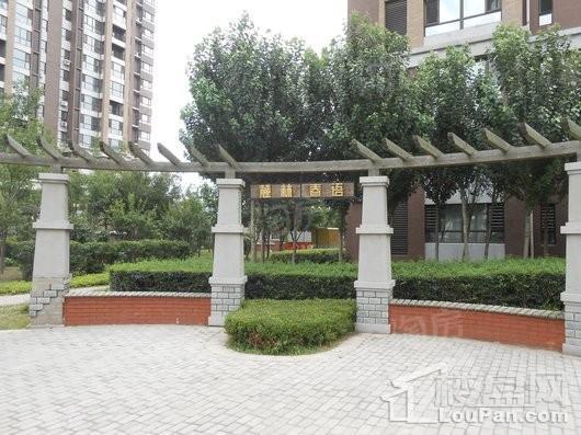 麓林春语 鸣悦实景图