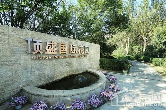 顶盛国际花园实景图