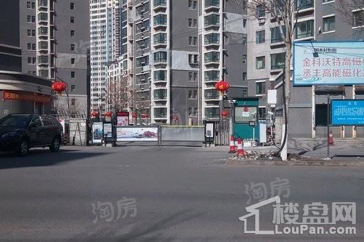 实景图