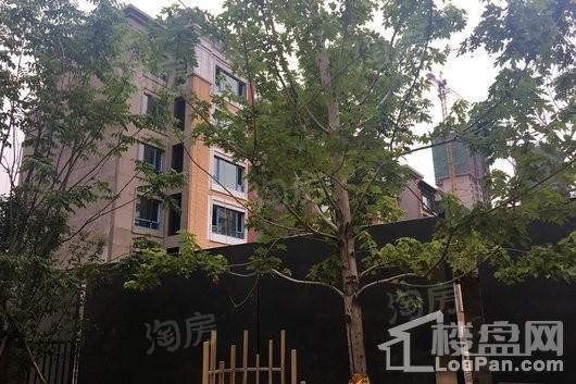 万科西华府实景图