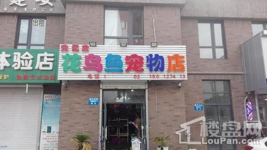 碧桂园银亿大城印象配套图
