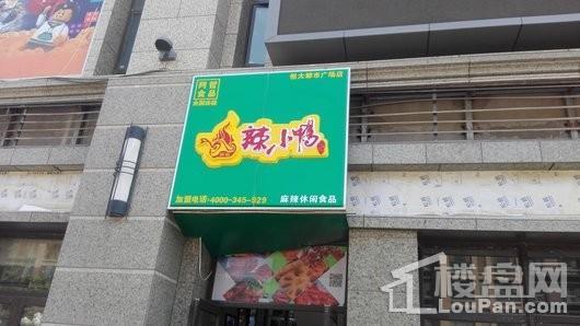 碧桂园银亿大城印象配套图