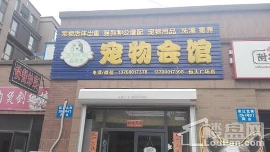 碧桂园银亿大城印象配套图