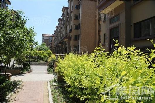 会展壹号实景图