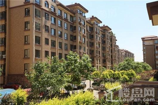 会展壹号实景图