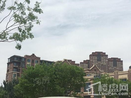 金地艺境实景图