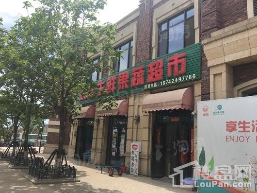 金地艺境配套图
