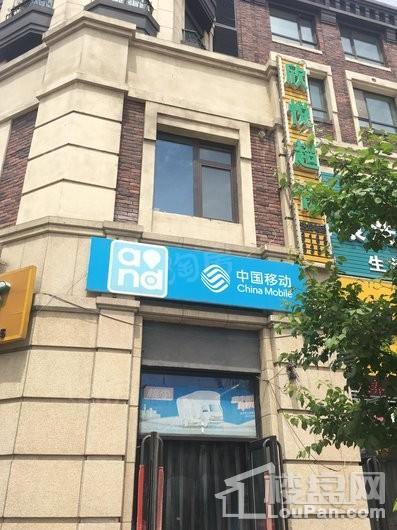 金地艺境配套图