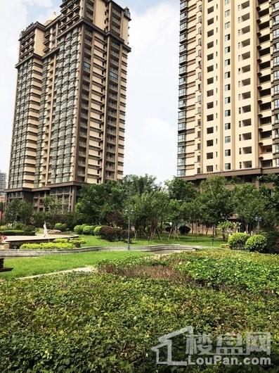 益华御才湾实景图