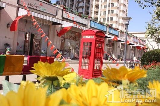 碧桂园九英里实景图