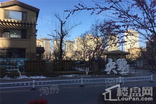碧桂园九英里实景图