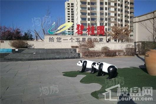 碧桂园九英里实景图