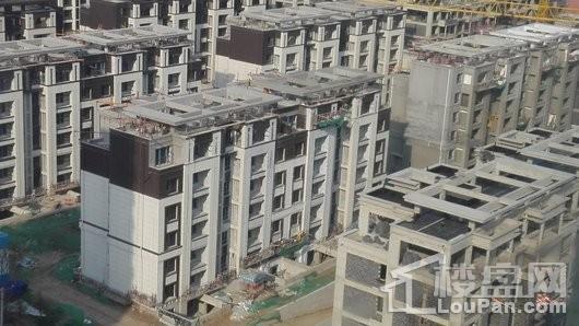 保利观唐实景图