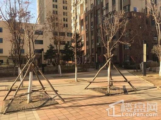 世纪枫景汇实景图