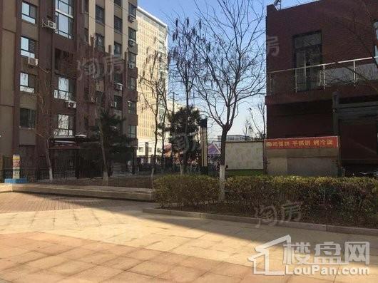 世纪枫景汇实景图