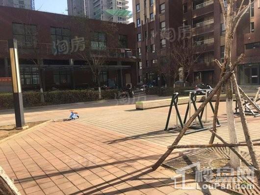 世纪枫景汇实景图