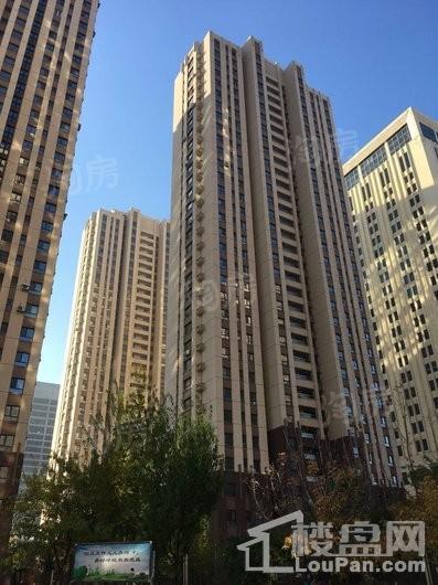 世纪枫景汇实景图