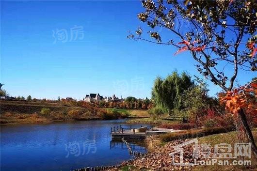 实景图