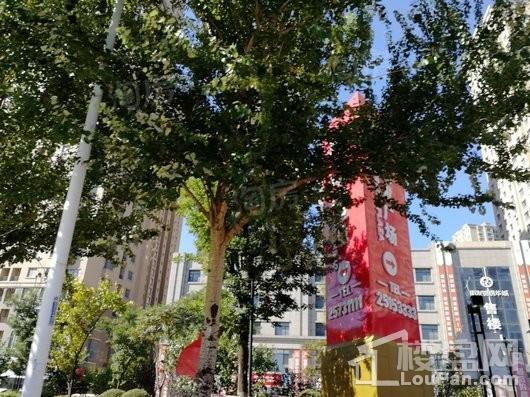 明发锦绣华城实景图