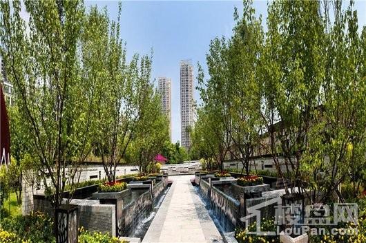泰盈十里锦城实景图