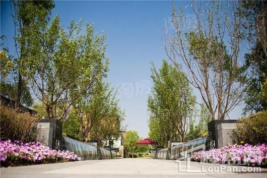 泰盈十里锦城实景图