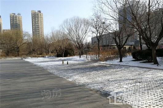 泰盈十里锦城实景图