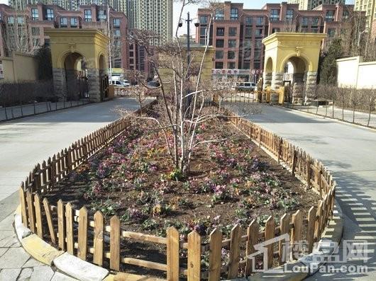 宏发天琴湾实景图